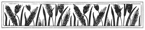 Book illustration