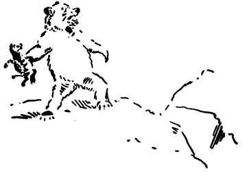 Book illustration