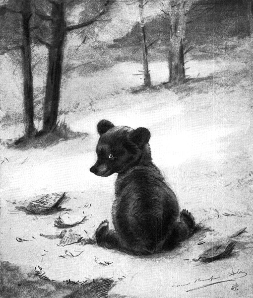Book illustration