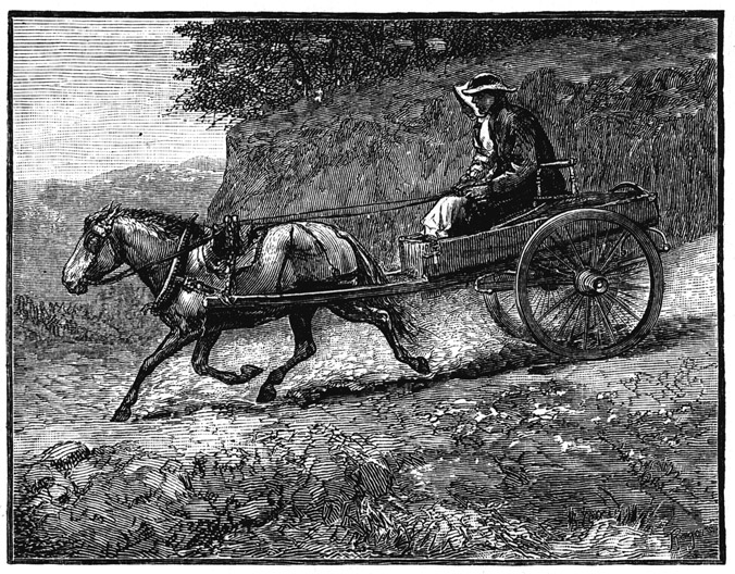 Book illustration