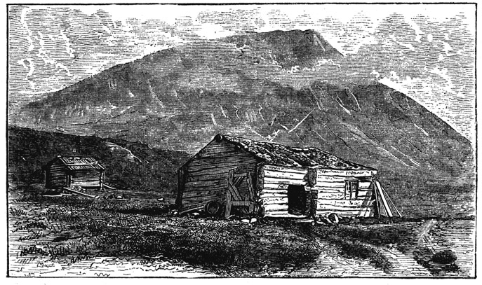 Book illustration