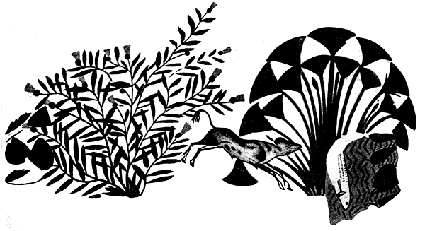 Book illustration
