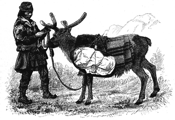 Book illustration