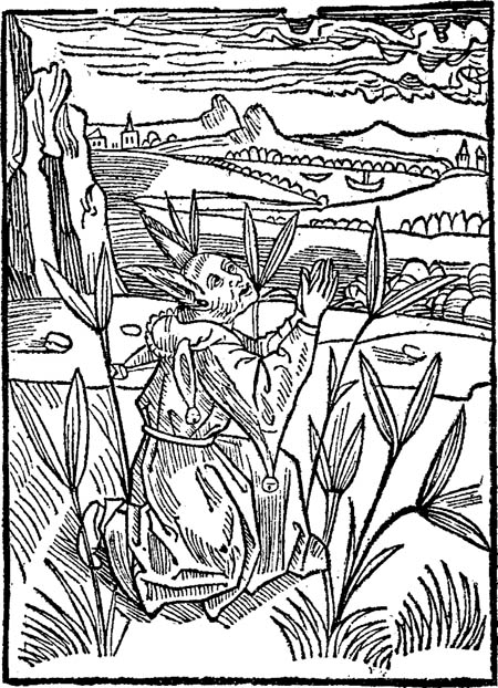 Book illustration