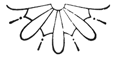 Book illustration