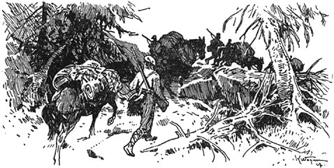 Book illustration