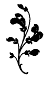 Book illustration
