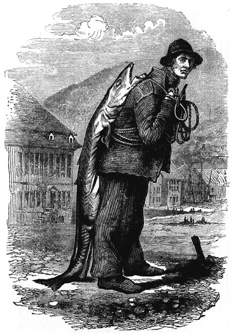 Book illustration