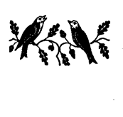 Book illustration