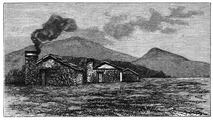 Book illustration