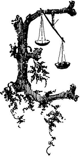 Book illustration