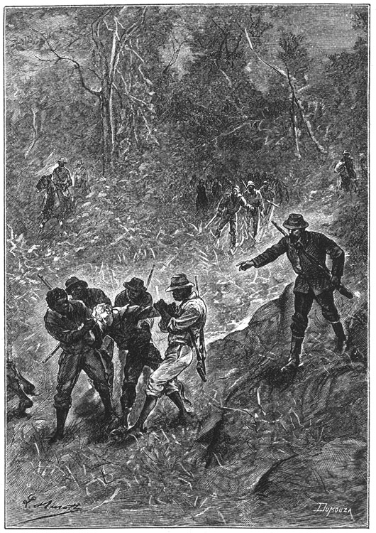 Book illustration