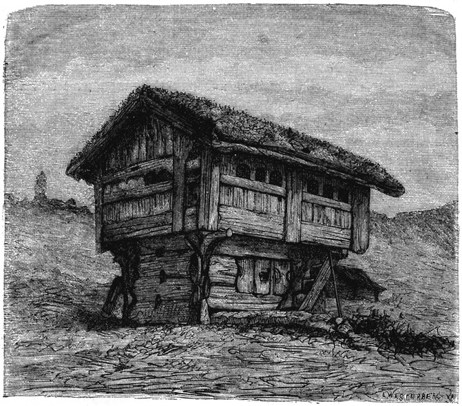 Book illustration