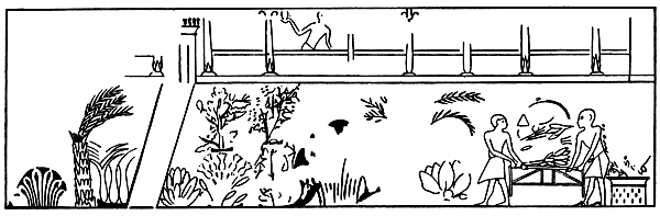 Book illustration