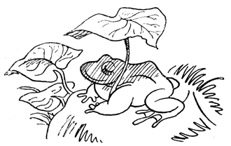 Book illustration