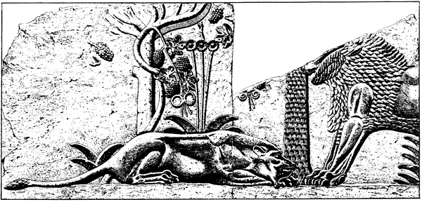 Book illustration