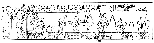 Book illustration