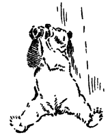 Book illustration