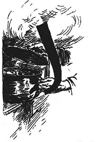 Book illustration