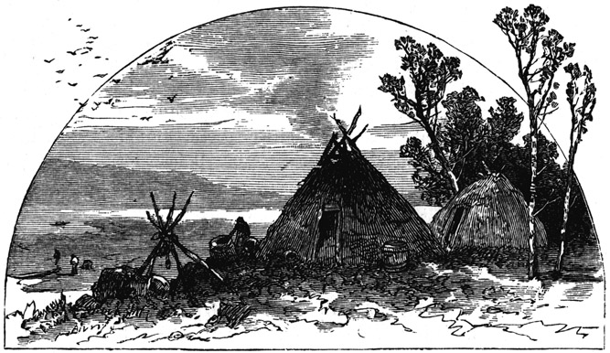 Book illustration
