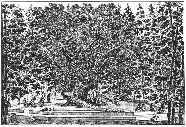 Book illustration