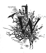 Book illustration