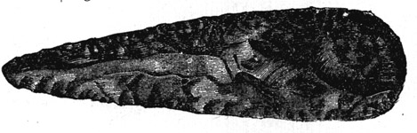 Book illustration