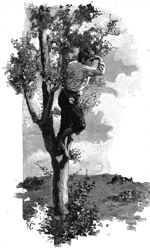 Book illustration