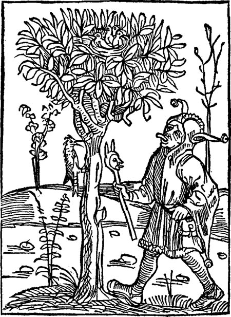 Book illustration