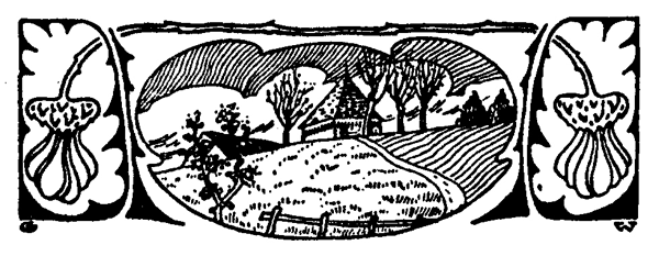 Book illustration