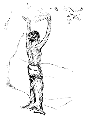 Book illustration