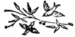 Book illustration