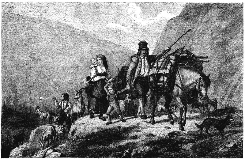 Book illustration