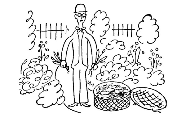 Book illustration