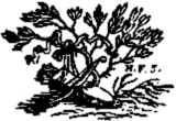 Book illustration