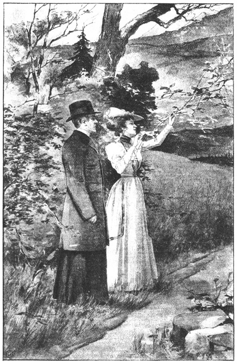 Book illustration