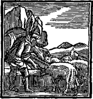 Book illustration