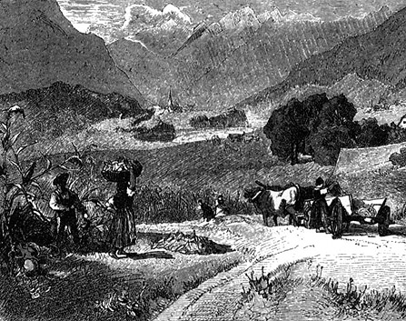 Book illustration