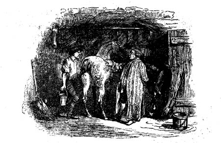 Book illustration