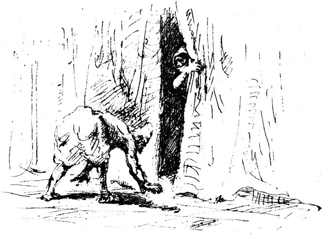 Book illustration