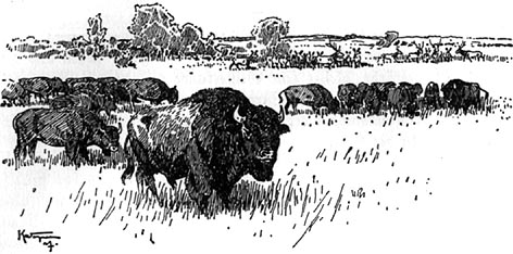 Book illustration