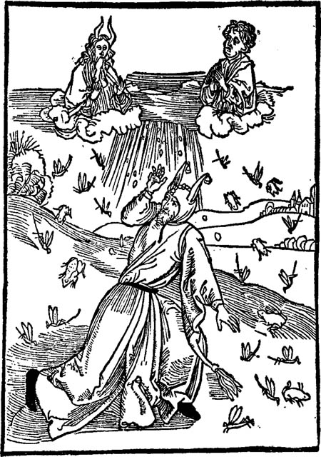 Book illustration