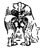 Book illustration