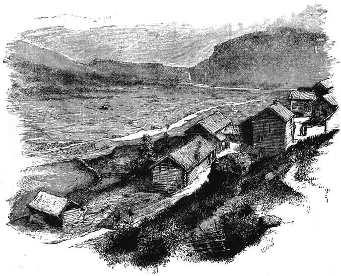 Book illustration