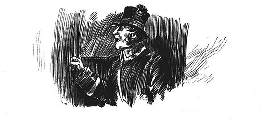 Book illustration