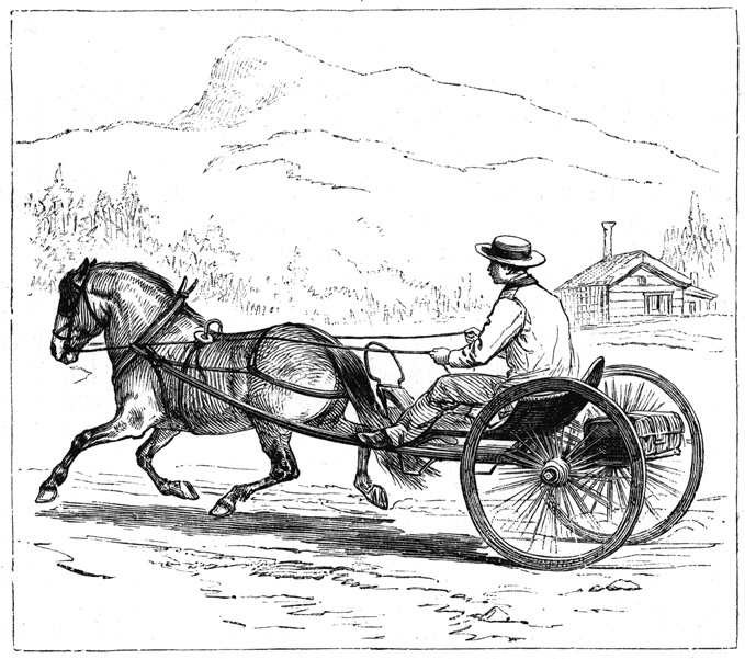 Book illustration