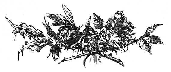 Book illustration