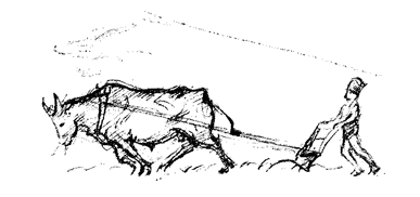 Book illustration