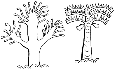Book illustration