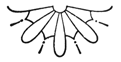 Book illustration